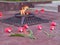 Red tulips near the eternal flame in memory of victims in the great Patriotic war