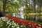 Red tulips near the pond in Keukenhof