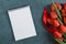 Red tulips, notebook on a blue background, postcard blank, spring holiday, Mother`s Day. Copy space
