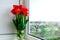 Red tulips in vase on the windowsill bright, country style, in sunlight, bouquet for Easter decoration against an open background