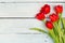 Red Tulips on a white background