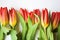 Red tulips on a white background. Bouquet of flowers.