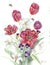 Red tulips, white daffodils and violet pansies