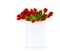 Red tulips in white shopping bag with text Sale.