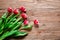 Red tulps. Flowers on wooden background. Copy spase.