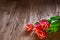 Red tulps. Flowers on wooden background. Copy spase.