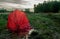 Red Umbrella deserted in Ireland