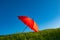 Red umbrella. Green grass. Blue sky.