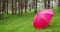 Red umbrella on the rainy day in the forest. Rain in the woods.