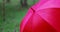 Red umbrella on the rainy day in the forest. Rain in the woods