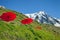 Red umbrellas and lounges in mountain cafe