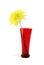 Red vase with autumnal yellow aster flower