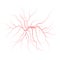 Red veins, Blood vessels and arteries. Vector illustration