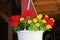 Red Verbena, yellow Calibrachoa and Tropaeolum bloom in a hanging pot in June. Berlin, Germany