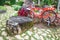 Red vintage bicycle in the park with decorative ornamental garden. Summer Outdoor Family Activities, Exercise in nature, Refresh