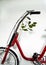 Red vintage eco friendly bicycle with a green plant as decoration over white background
