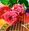 Red vintage roses on guitar elegant symbol of love, passion, Valentine image