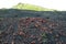 Red volcanic rocks, pumice stones on black sand and green hill near Laki craters, Iceland