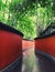 Red wall surrounded by bamboo forest