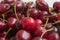 red washed cherries background