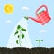 Red Watering Can and growing young green plant against blue sky. Watering sprout on sunny day.