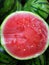 red watermelon pulp