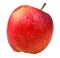 Red wealthy apple