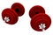 Red weightlifting weights