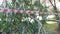 Red and white barrier tape, fenced off dangerous place or crime scene in the forest. Selective Focus