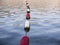 Red and white buoy line in sea water