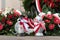Red and white candles and flowers in the colors of the Polish flag, national anniversary in Poland. Polish national colors