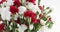 Red and white carnation flower rotation