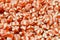 Red white creme swirled hard candy snack group. strawberry and vanilla sweets background.