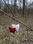 Red and white crocheted buterflies martisor hanging in tree