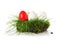 Red and white eggs in a piece of turf, easter decoration isolate