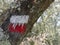 Red and white hiking trail sign on tree for walkers and trekking to indicate path. Defocussed background.