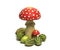 Red white mushroom with green melons