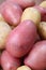 Red and white organic potatoes