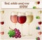 Red, white and rose wine in glasses. Detailed