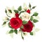 Red and white roses and lisianthus flowers. Vector illustration.