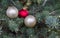 Red and white satin Christmas ornaments resting in a pine tree