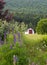 Red and White Shed and Flowers, Nova Scotia