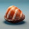 Red and white shell, which is placed on top of blue background. This shell has an orange interior, giving it unique