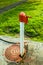 Red and white standpipe