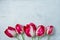 Red and White Striped Tulips Flowers on Grey Stone Concrete Cement Metal Background. Wedding Birthday Mother`s Women`s Day