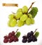 Red and white table grapes, wine grapes. 3d vector icon set