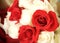 Red and White Wedding Boquet