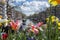 Red, white and yellow flowers on the canal in Amsterdam with boats, buildings and water as background