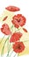 Red wild poppies on the field. Watercolor illustration, flowers for Memorial Day. Vector