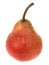 Red Williams Pear